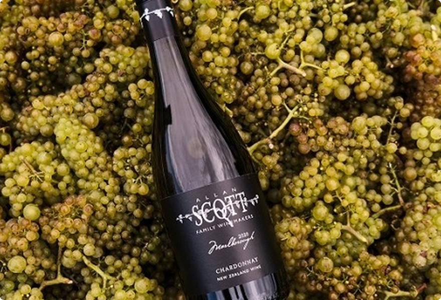 Vintage 2023 Unveiled: A Journey from Vine to Bottle in Marlborough