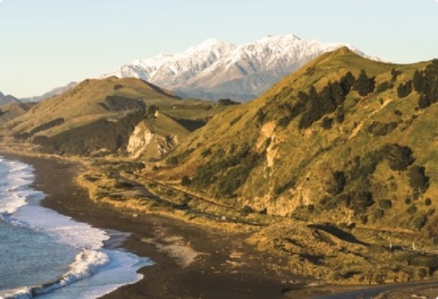 Discover the coastal elegance of Marlborough’s Sauvignon Blanc