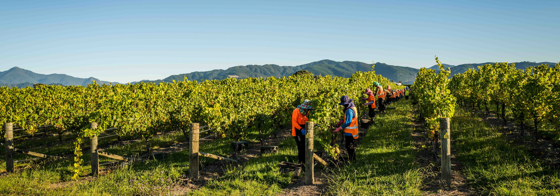Looking back at Harvest 2026
