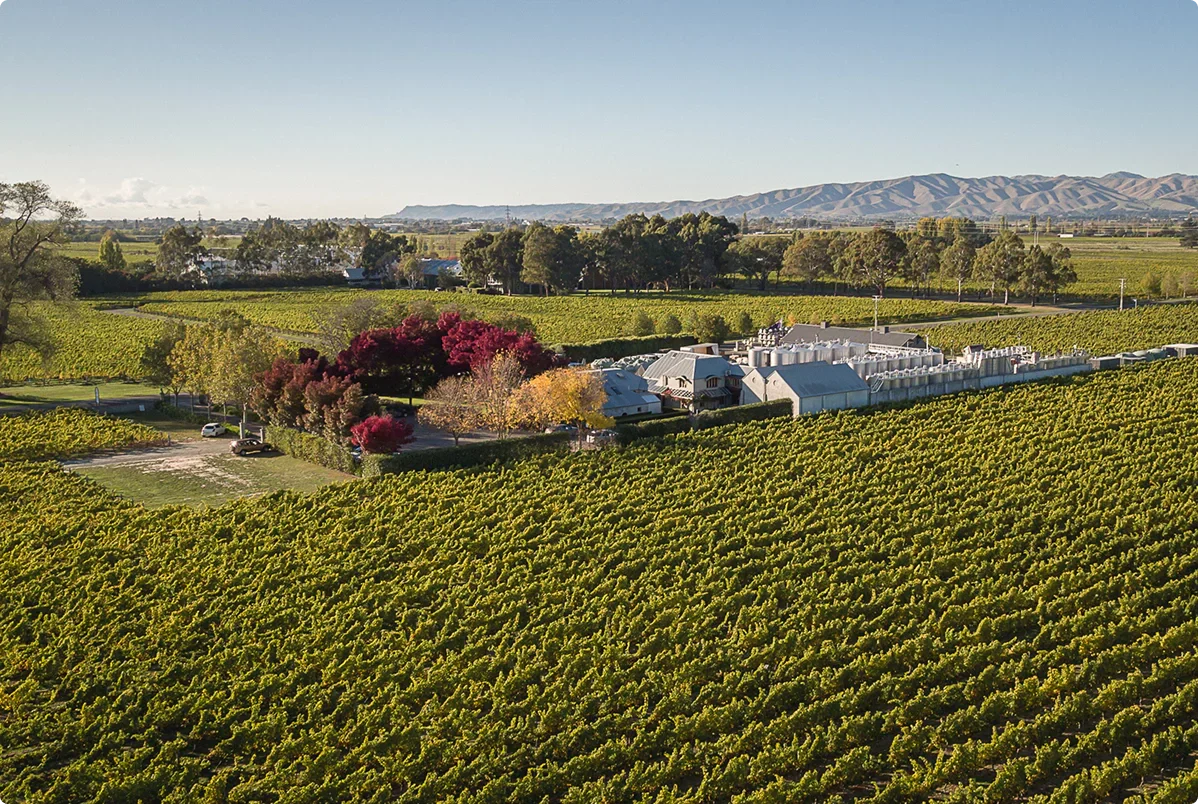 Event The Top 50 Gold medal-winning Merlot!