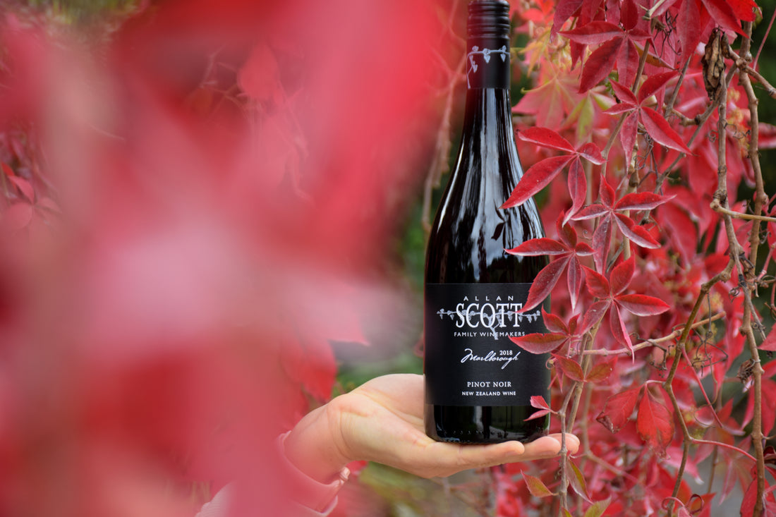 Allan Scott Marlborough Black Label Pinot Noir 2025