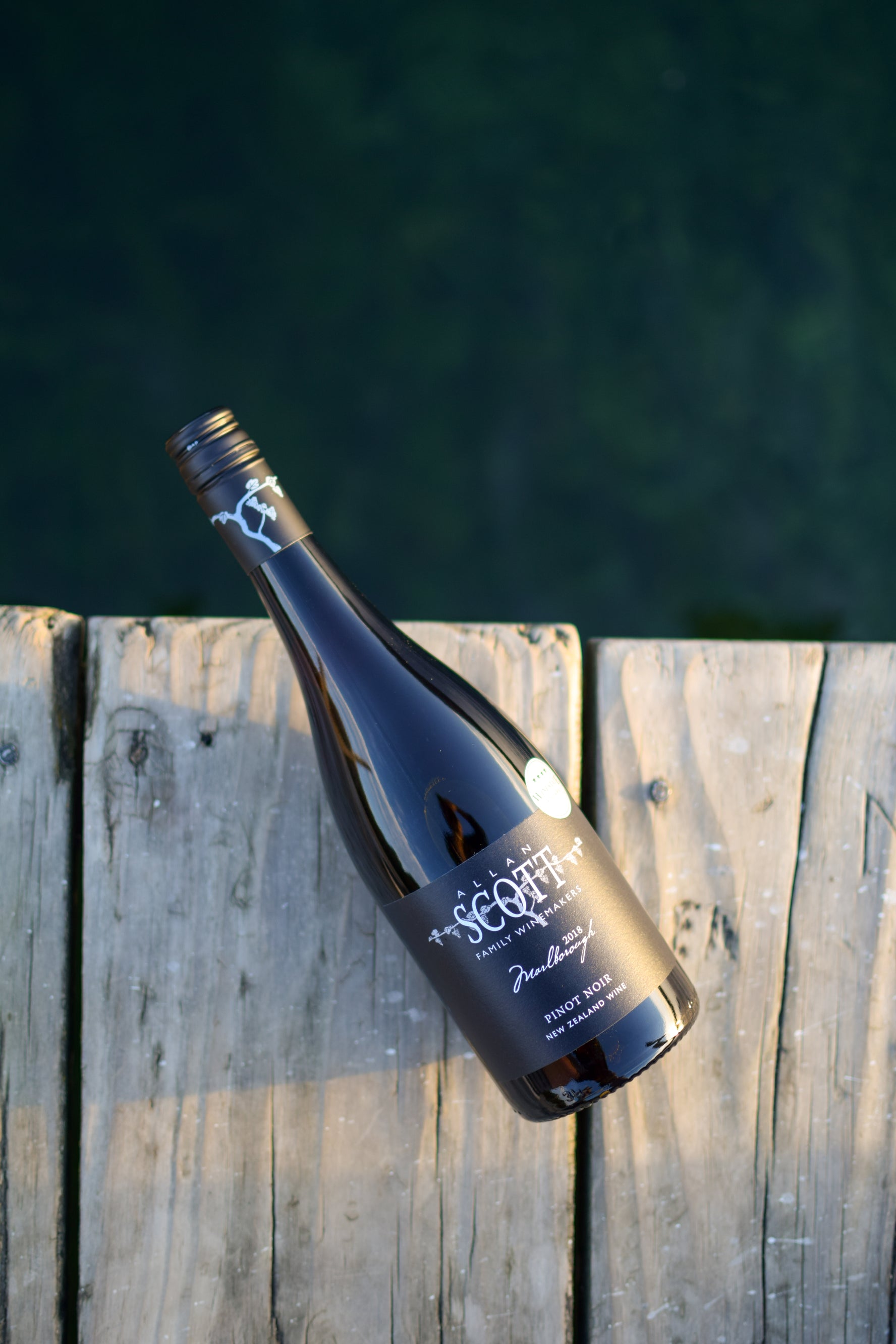 Allan Scott Marlborough Black Label Pinot Noir 2024
