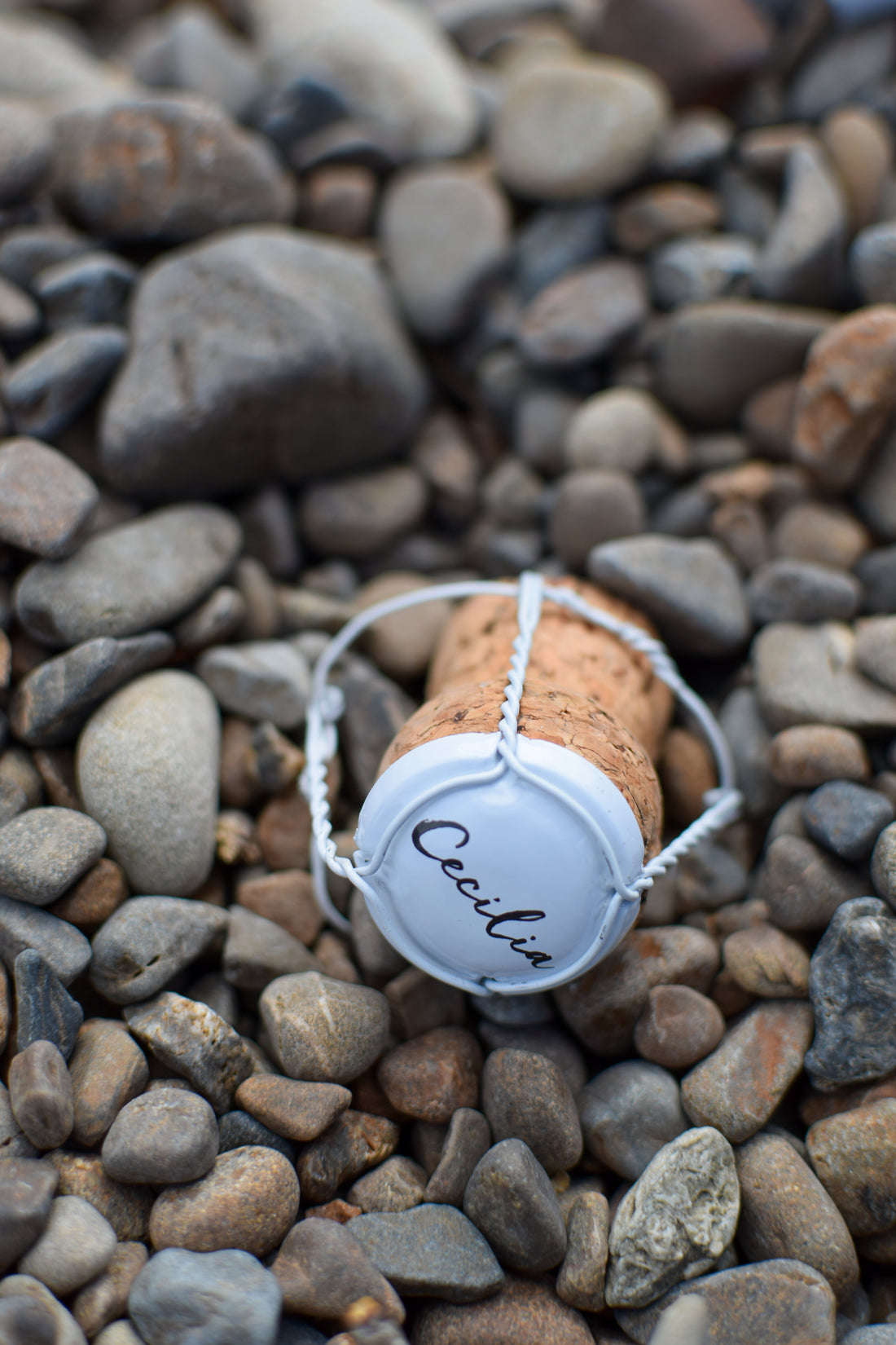 Allan Scott Cecilia Brut Marlborough Cuvée NV