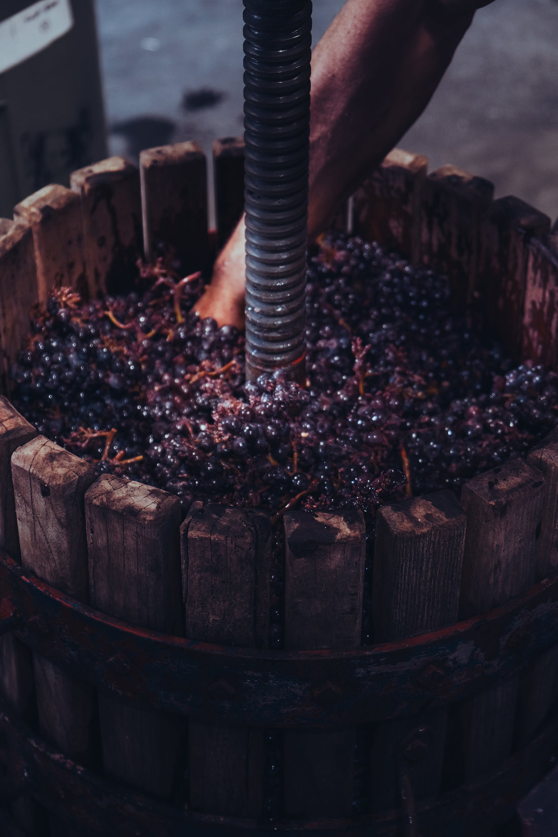 Allan Scott ‘The Eli Collection’ Pinot Noir 2022