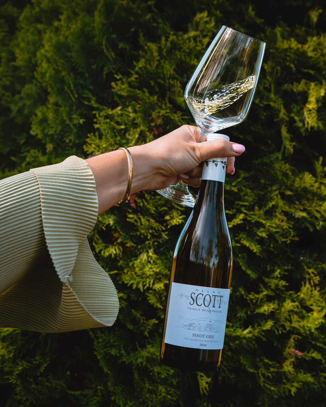 Allan Scott Marlborough Pinot Gris 2026