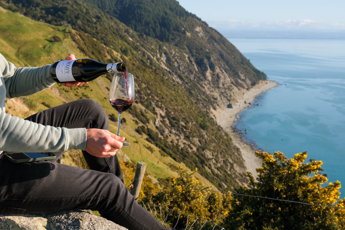 Allan Scott Hawkes Bay Merlot 2025