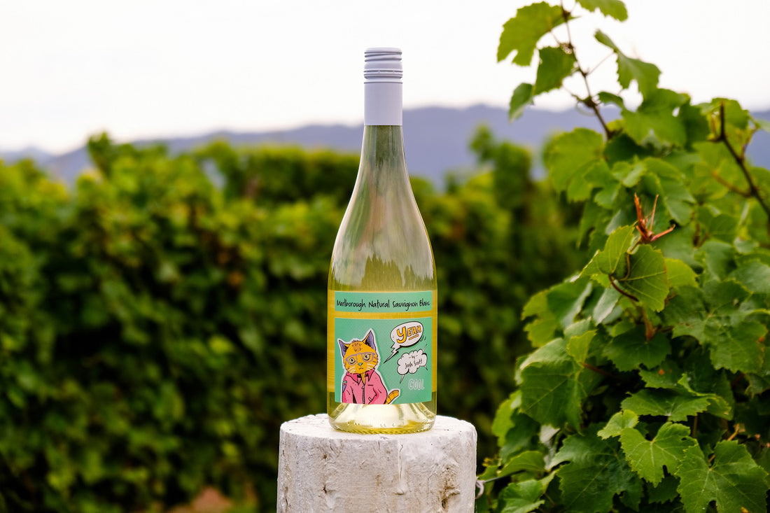 By Josh Scott Yeah Cool Natural Sauvignon Blanc 2025