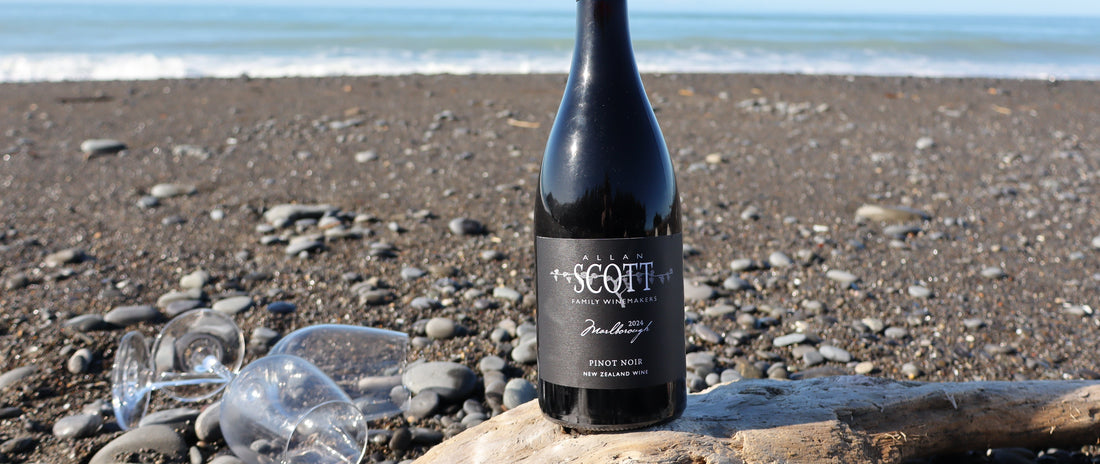 Allan Scott Marlborough Black Label Pinot Noir 2025