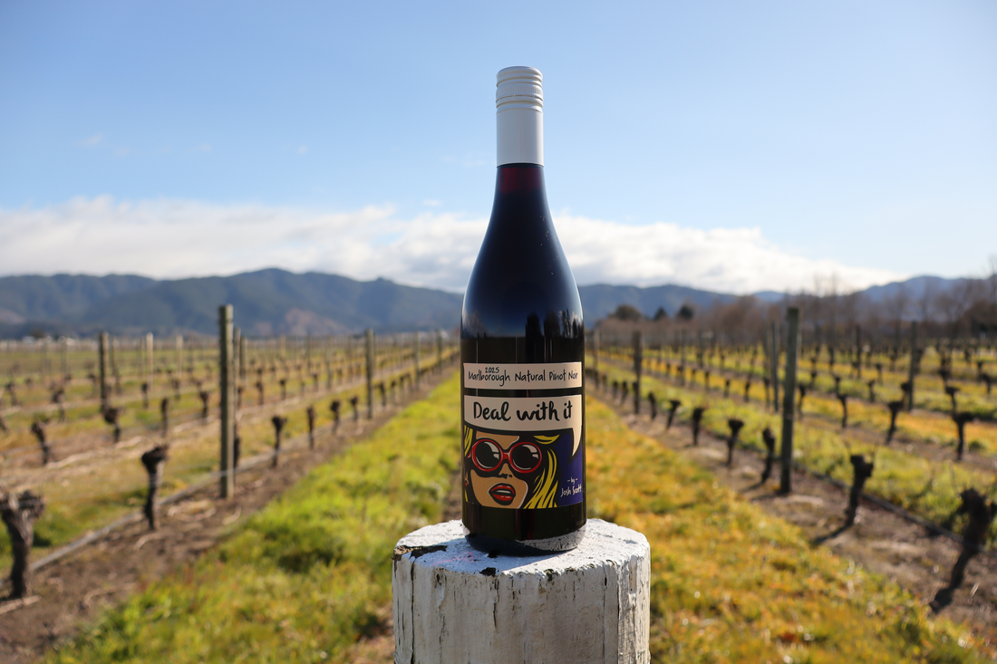 By Josh Scott Natural Pinot Noir 2025 By Josh Scott Natural Pinot Noir 2025