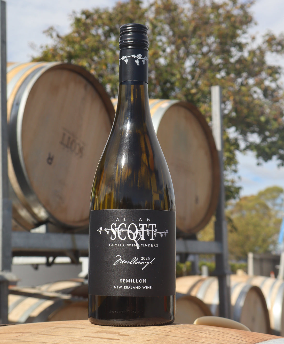 Marlborough Black Label Semillon 2024