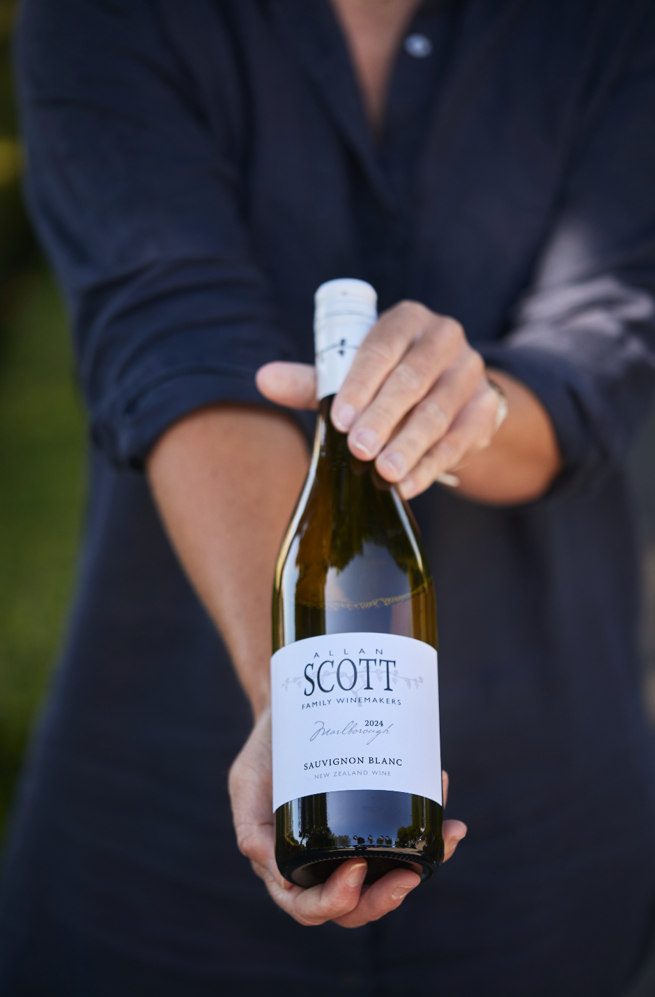 Allan Scott Marlborough Sauvignon Blanc 2025