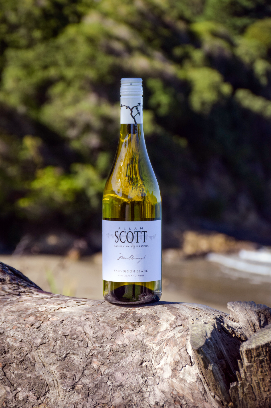 Allan Scott Marlborough Sauvignon Blanc 2025
