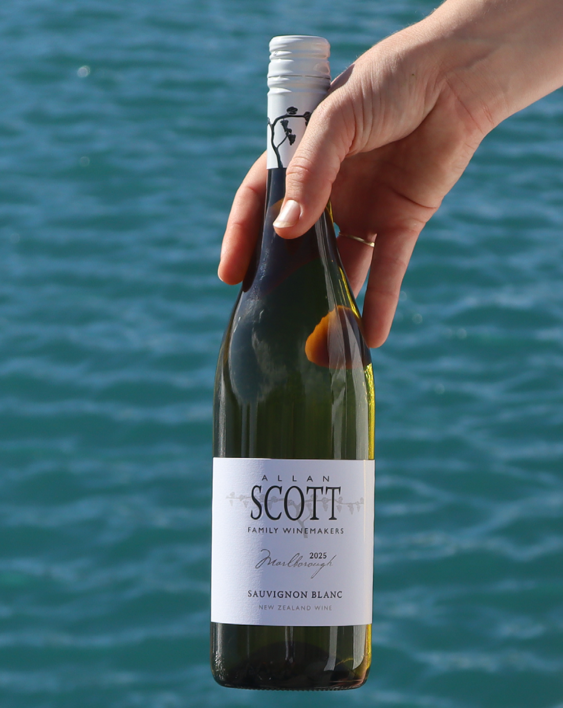 Allan Scott Marlborough Sauvignon Blanc 2025