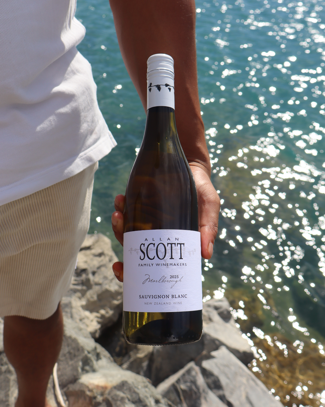 Allan Scott Marlborough Sauvignon Blanc 2025