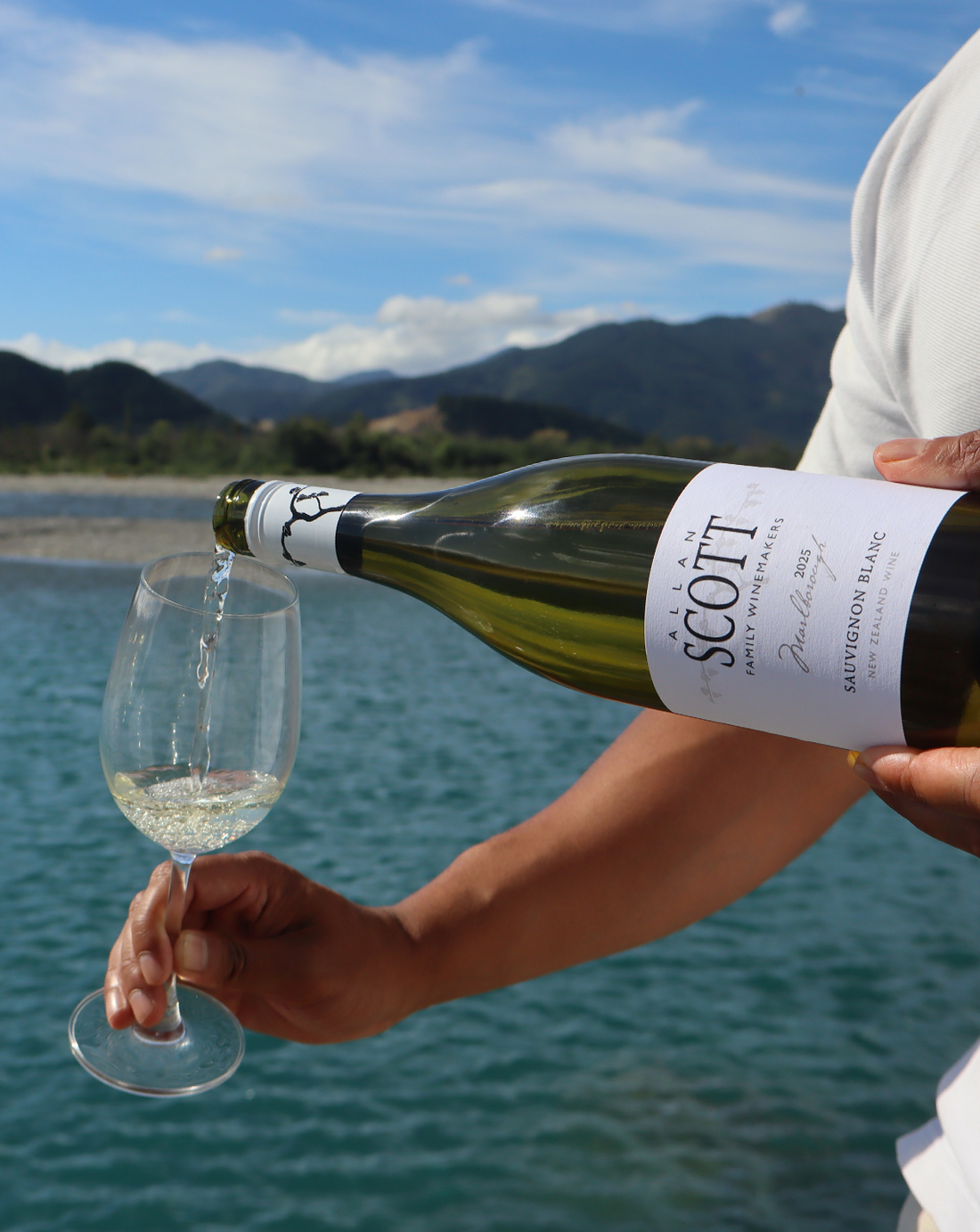Allan Scott Marlborough Sauvignon Blanc 2025