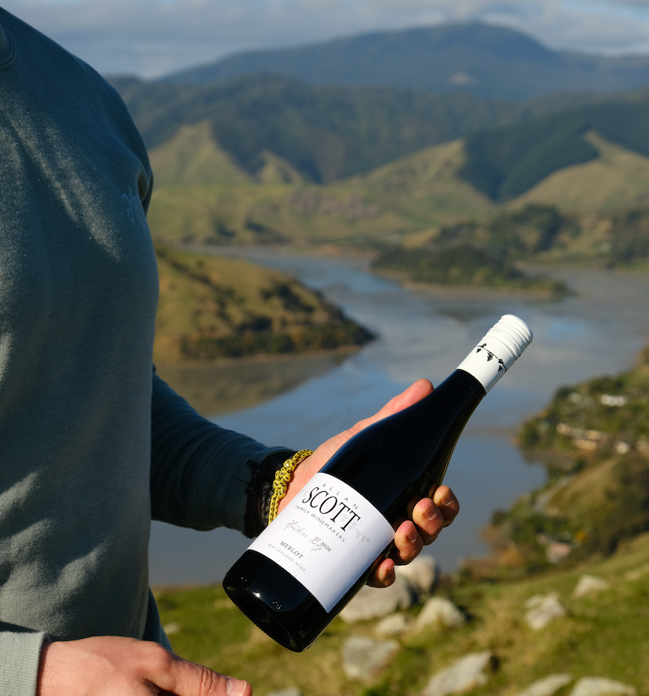 Allan Scott Hawkes Bay Merlot 2025