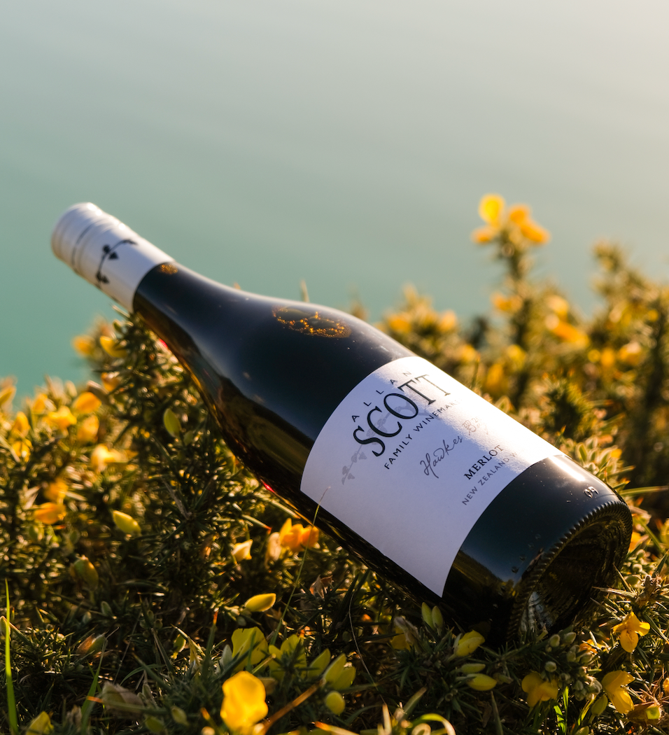 Allan Scott Hawkes Bay Merlot 2025