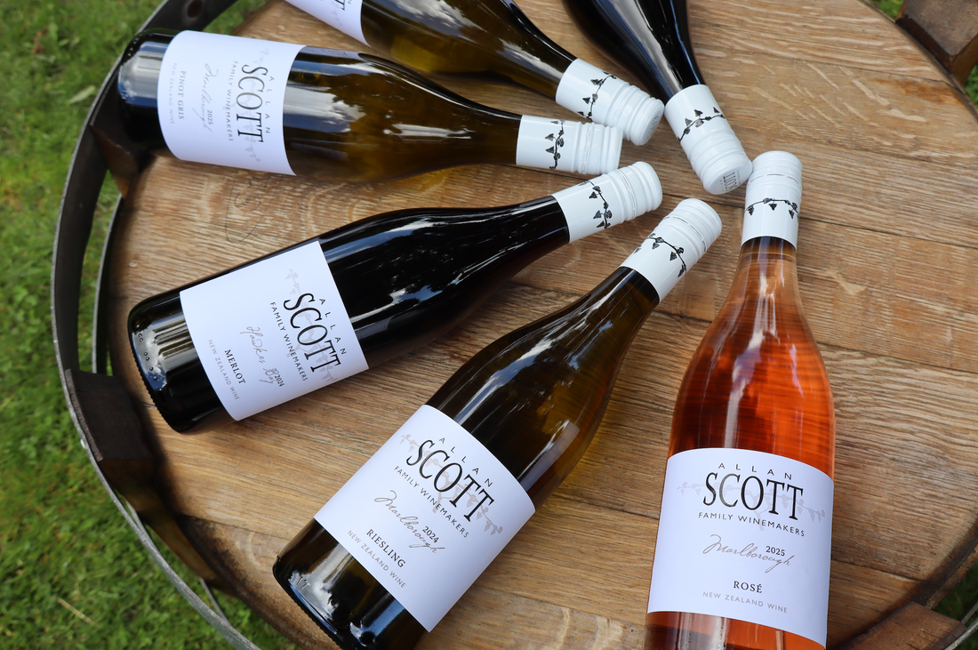 Allan Scott Hawkes Bay Merlot 2025