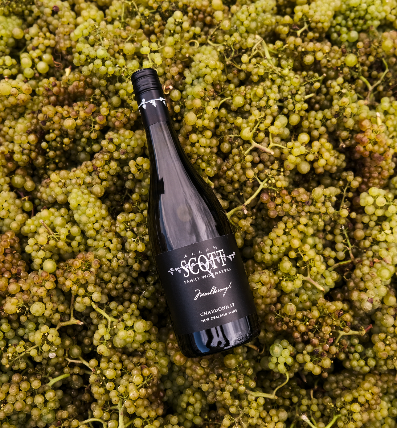 Allan Scott Marlborough Black Label Chardonnay 2024
