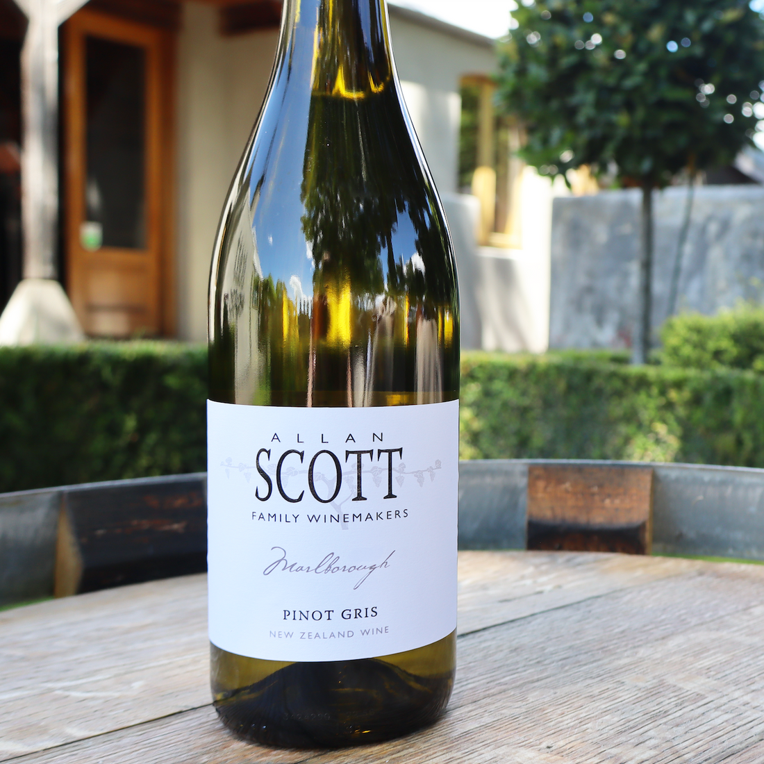 Allan Scott Marlborough Pinot Gris 2026