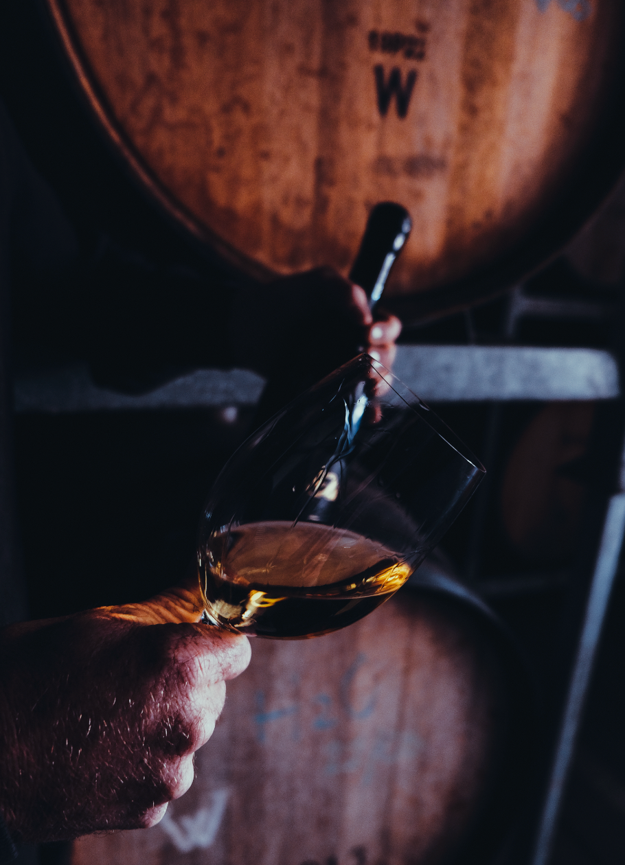 Allan Scott ‘The Eli Collection’ Sauvignon Blanc 2023