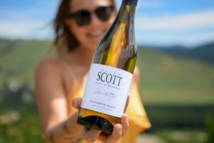 Allan Scott Marlborough Sauvignon Blanc Wine