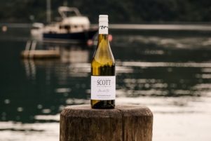 Allan Scott Marlborough Sauvignon Blanc Bottle